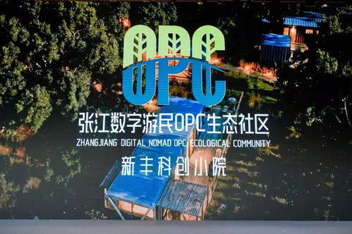 當(dāng)新就業(yè)群體風(fēng)生水起，上海文創(chuàng)園的第二春來(lái)了